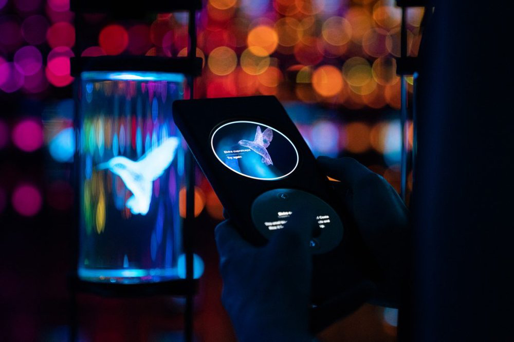 App and Specimen jar